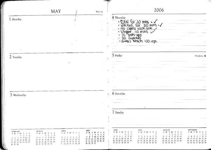 If Your 2006 Planner Is Missing